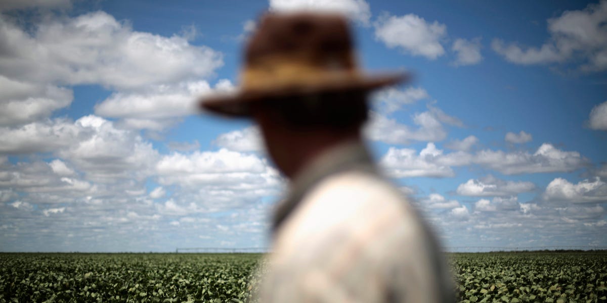 China Stockpiles US Soybeans Ahead of Trump’s Second Term