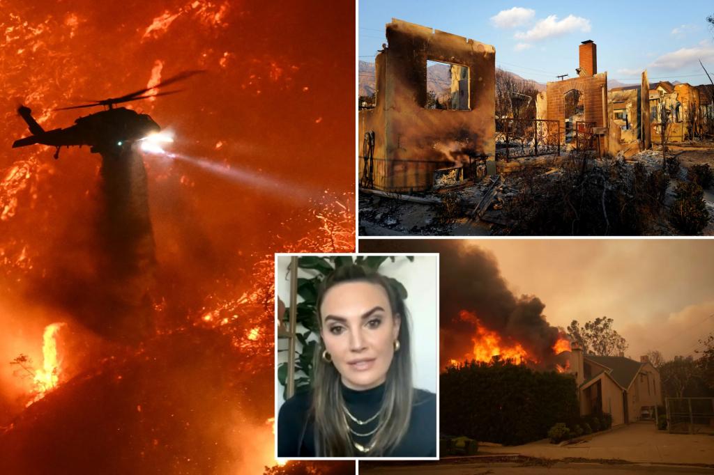 Elizabeth Chambers Calls LA Fires a Disaster, Criticizes Officials’ Response