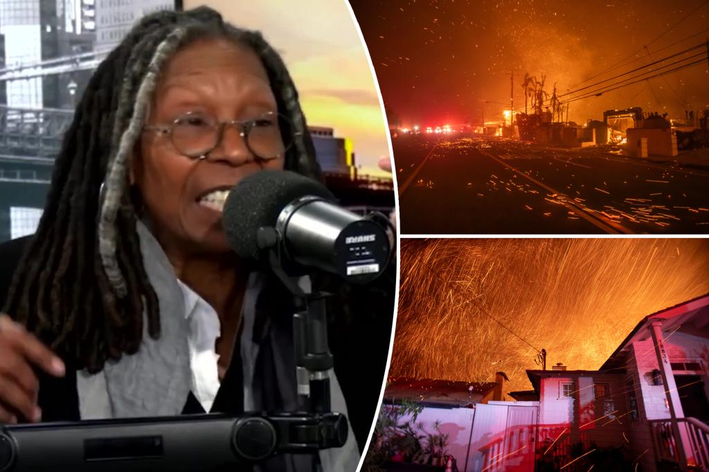 Whoopi Goldberg Says ‘Winds’ Caused LA Fires, Urges Unity Over Blame